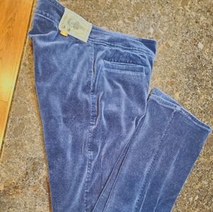 Velvet cimarron pants